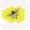 Tualang Honey接码