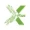 ServeXplus接码