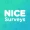 NiceSurveys接码